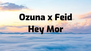 Hey Mor - Ozuna x Feid (Lyric video)