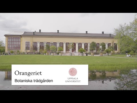 Tinderligan avsljades av dejt med polisen tjej som bestmde trff med sina offer via bland annat dejtingappen Tinder. Bild: Olof Ohlsson. Tinderligan avsljades av dejt med polisen | Gteborgs