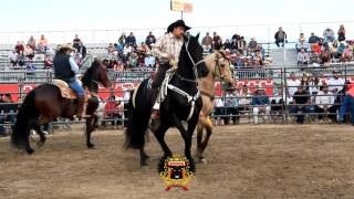 Rancho Imperial - 1-17-16 - Changuitos B-Bash