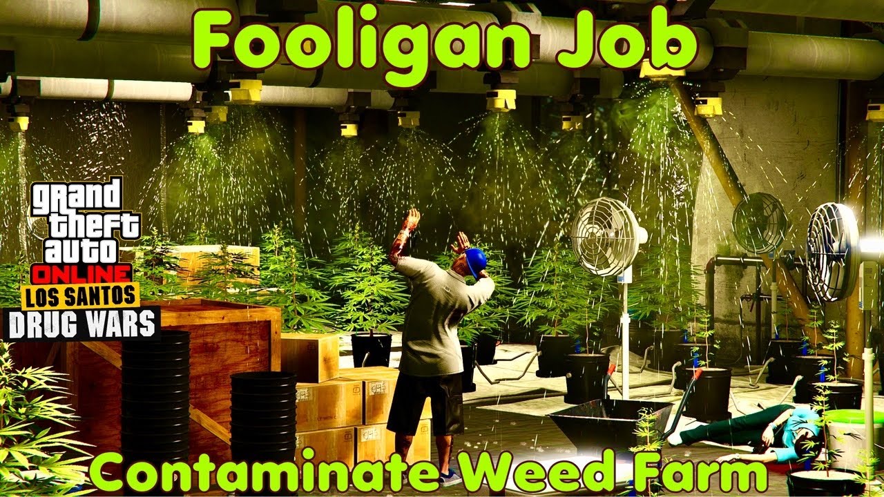 Dax Fooligan JobContaminate Weed FarmGTA Online YouTube