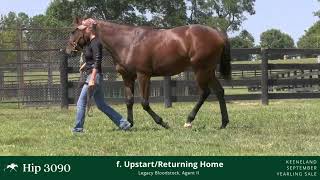 Hip #3090 - Filly by Upstart - Returning Home
