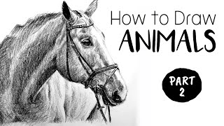 How to Draw & Sketch Animals  Part 2