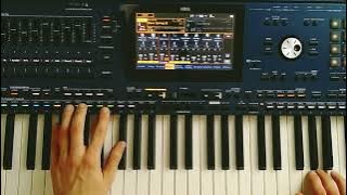 Umar Keyn - Instrumental Music Relaxing (Danekoo1 & Korg Pa5x )