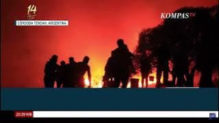 Tersambar Api Unggun, Hutan Argentina Terbakar