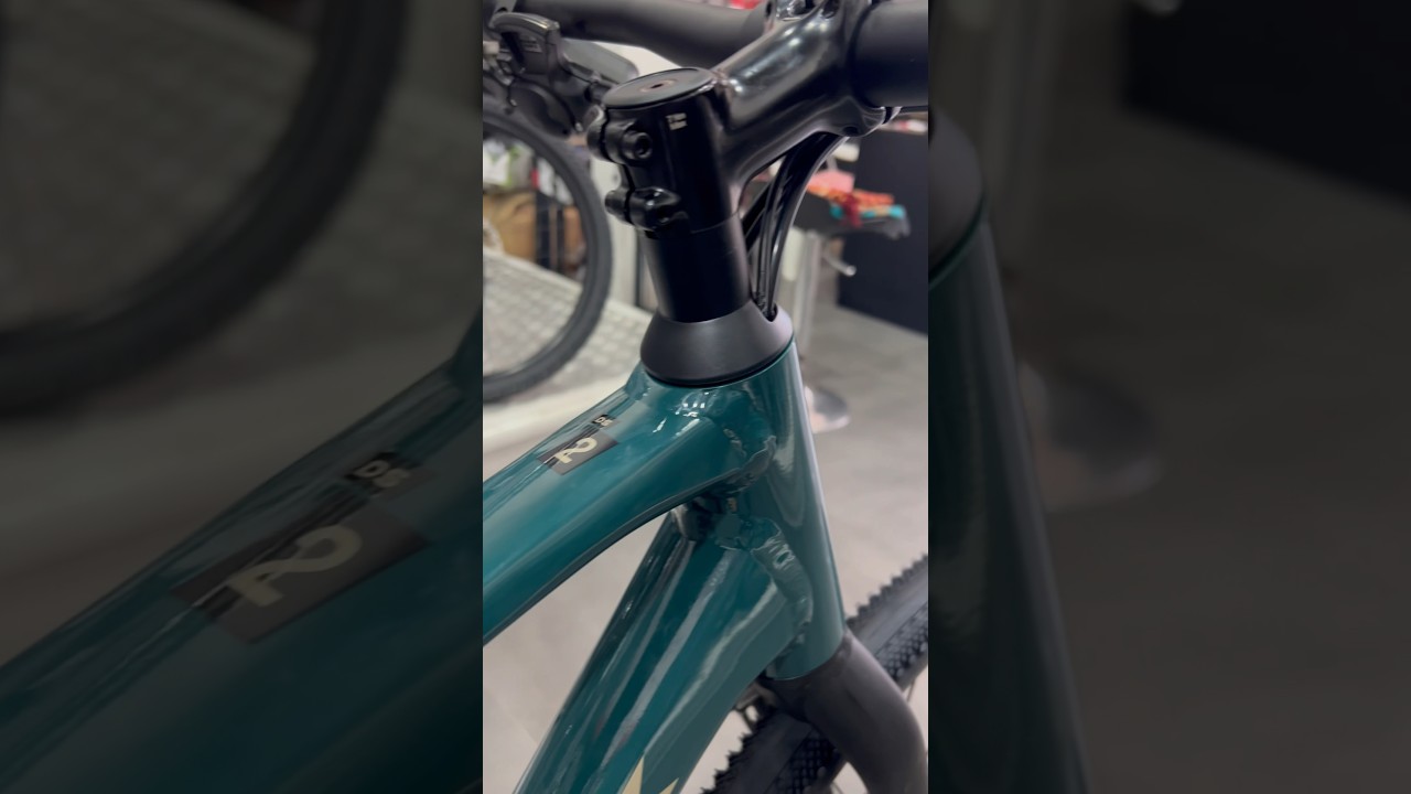 Trek dual sport 2 gen 5 