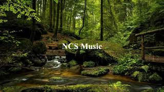 Old Letter - Michael Ramir C. (No Copyright Music)