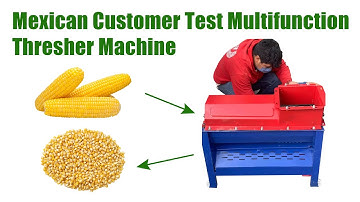 Feedback video from Mexican customer test multifunction corn thresher | maize thresher machine