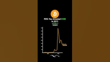 What If You Invested $100 in Bitcoin in 2011 #bitcoin #investing #crypto