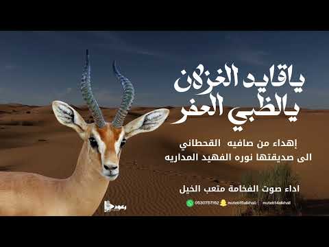 شيلة ياقايد الغزلان يالظبي العفر آداء صوت الفخامه متعب الخيل جديد2024حصريا
