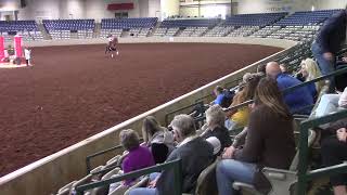 20231105 KM WTC Equitation 14 15 Finals Pattern