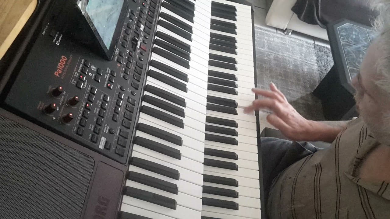 Barclay James Harvest -  Play to the World         (  Korg PA1000+Kawai ES110)