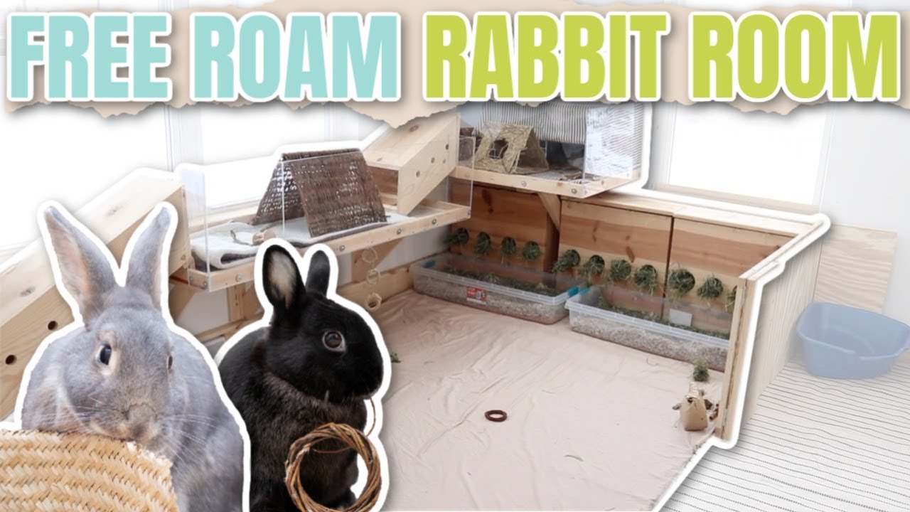 rabbit play houses
