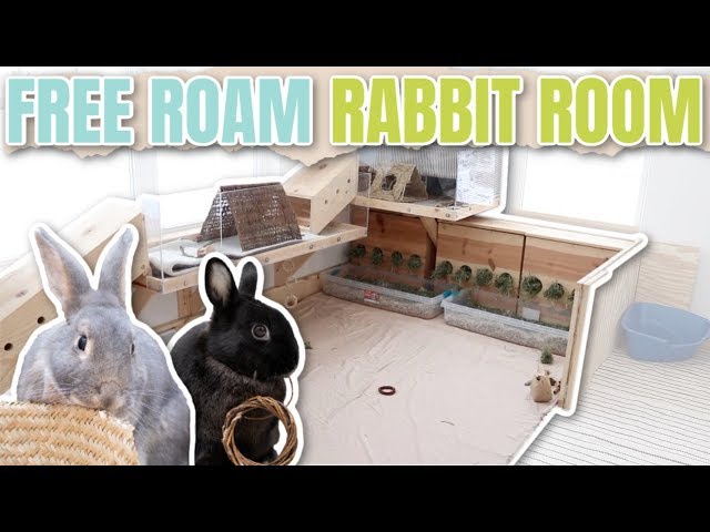 ãTHEAIRTOWNãIvy lace rabbit setup â
Free Roam Bunny Room Tour! ð - YouTube