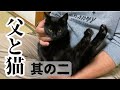 【保護猫】生きがい見つけた。父の猫活