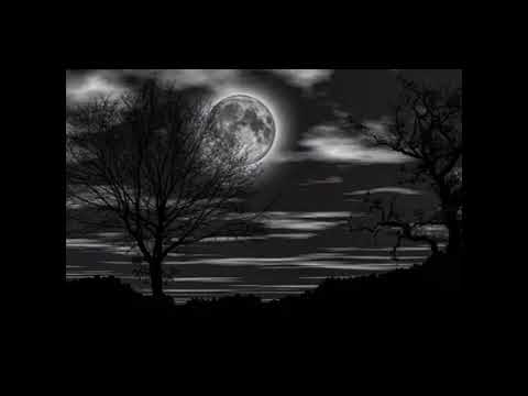 لاتقول عن قلبي قاسي وانو حجر