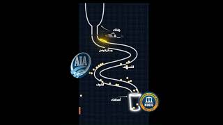 لا تشتت عمرك #college #ai #academy #education #academia #learning