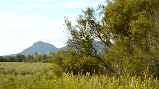 Have you ever felt the whisper of the countryside breeze through a screen?