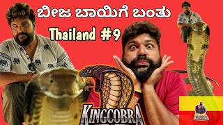 How to Kiss a King Cobra 🐍? ಮೀಟರ್ ಬೇಕು ಗುರು | Global Kannadiga | Thailand