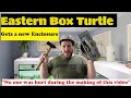 Eastern Box turtle enclosure build