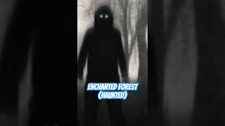 Ghost CAUGHT on CAMERA at This HAUNTED Forest 😱👹 #urbanlegends #haunted #hauntedforest #realghost