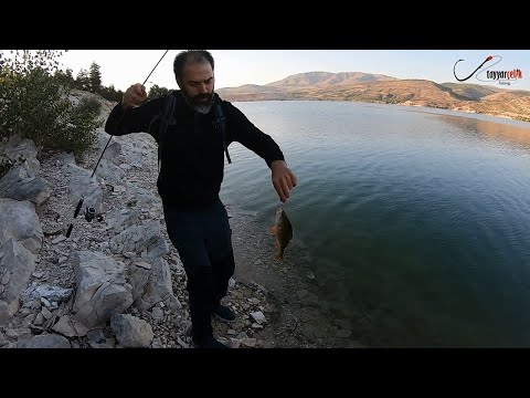 Perch Balık Avı