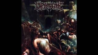 Saprogenic - Cerebral Regurgitation