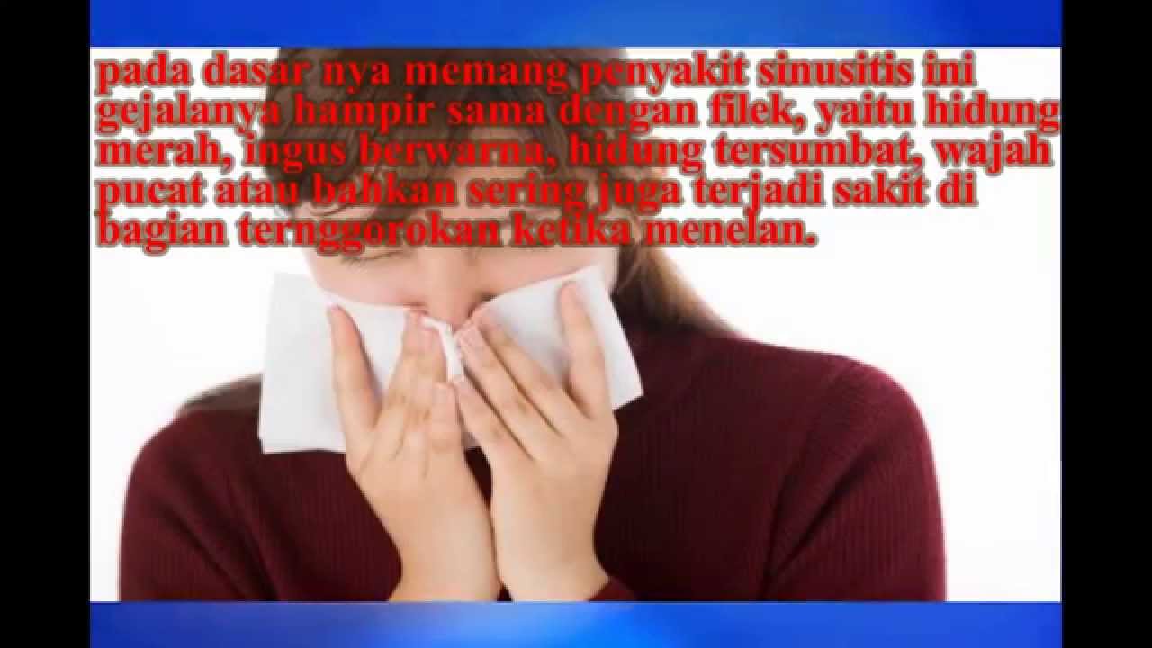Obat Sinusitis Paling Ampuh Reaksi Efek Yang Cepat Secara Alami | 0856