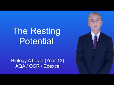 A Level Biology Revision (Year 13) "The Resting Potential"