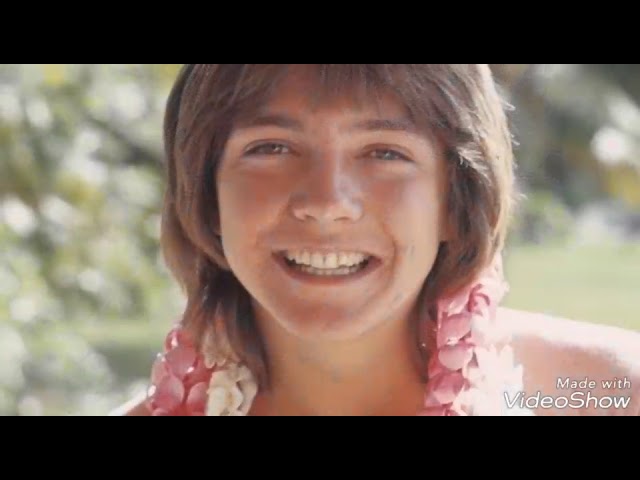 David Cassidy - Could It Be Forever
