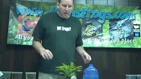 How to Care for Poison Dart Frog Tadpoles