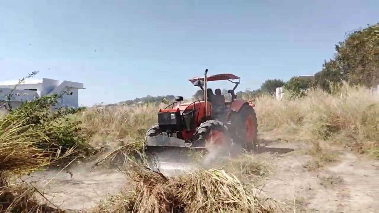 งานรายวันแบบสบายๆ 4500 สองวัน👌🇮🇴ขอบคุณบอสฝรั่ง🙏🙏