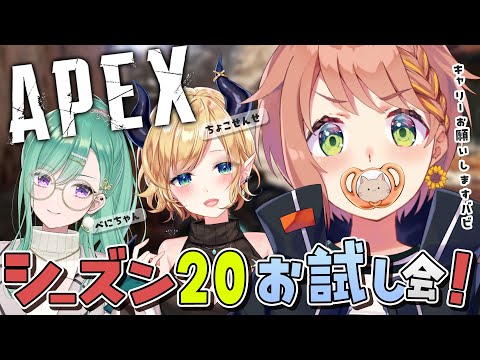 【APEX】老兵バブりAPEX。w/ちょこ先生　べにちゃん【本間ひまわり/にじさんじ】