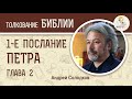 1-е Соборное послание Петра. Глава 2. Андрей Солодков