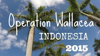 Indonesia Vlog Part 2 (Reptiles/Canopy Access)