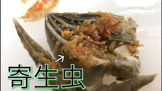 大量に寄生された生物を生で食べた結果・・・【集合体】