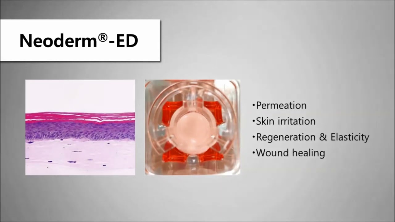 실험용 배양피부 Neoderm® 피부모델
