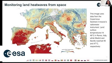 Visualising Forests in a Changing Climate: Insights from ESA CCI Data