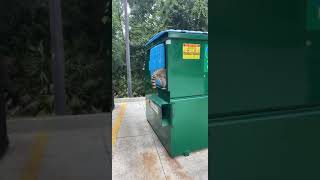 Guy Approaches Raccoon In Green Dumpster And It Jumps At Him