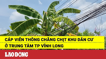 Cáp viễn thông chằng chịt khu dân cư ở trung tâm TP Vĩnh Long ﻿ | Báo Lao Động