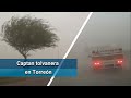 ¿Polvo del Sahara en Torreón?