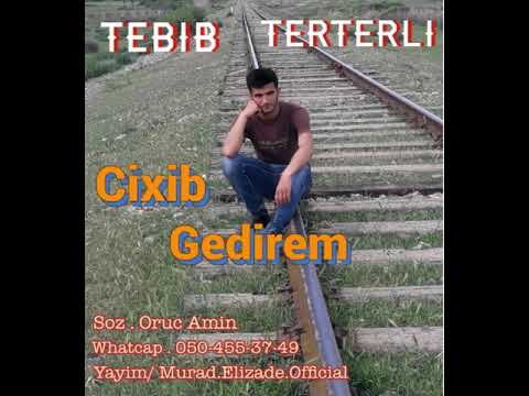 Tebib terterli cixib Gedirem (seper seri)2019