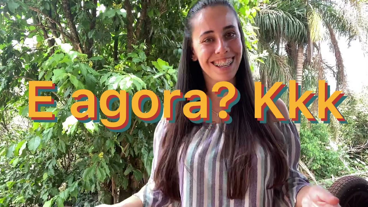 MUDAS DE CHICÓRIA | Informações e cuidados