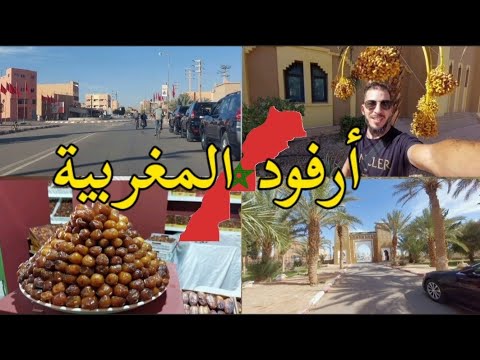 ارفود جواهرة تافيلالت عاصمة التمور المغربية  