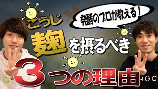 【知らなきゃ損】今すぐ麹を摂るべき3つの理由【発酵のプロが簡単解説】