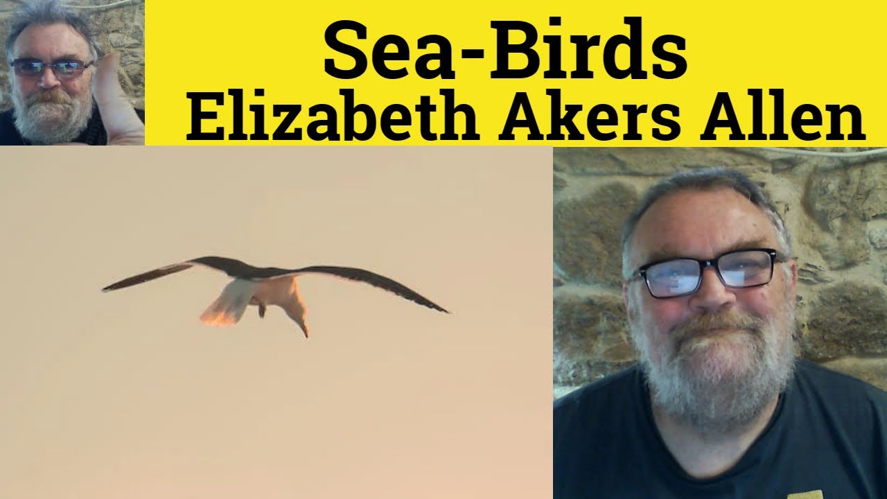 🔵 Sea-Birds Poem by Elizabeth Akers Allen - Summary Analysis - Sea-Birds by Elizabeth Akers Allen