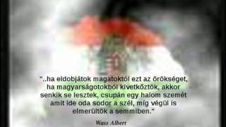 Video voorbeeld van "Deák Bill Gyula - Fiatalkorú bűnöző töredelmes vallomása"