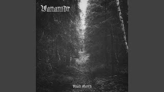 Beneath the glimmering surface - Vananidr
