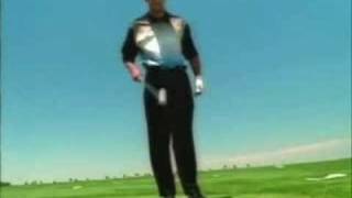 Tiger Woods - Signature Shots