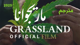 Grassland ماريجوانا. 2025 فيلم