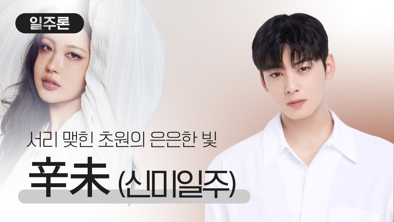 [일주론] 신미일주, 겉은 단단하지만 속은 부드러운